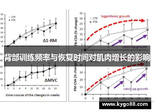 背部训练频率与恢复时间对肌肉增长的影响